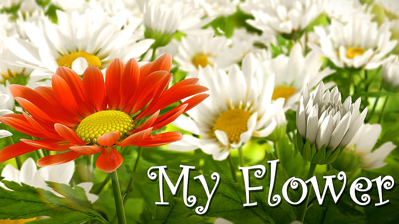 My Flower 3D Live Wallpaper Android Apps On Google Play
