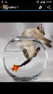 Funny Picture Ideas Screenshots 10