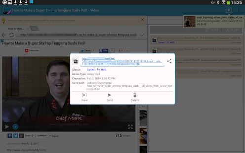 ☆ AVD تحميل فيديو - قطة شاشة مصغرة