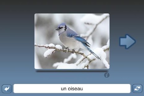 How to install NounStar Language French patch 1.0 apk for laptop