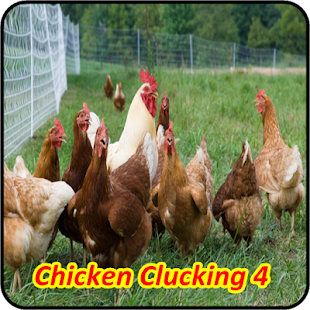 Free Chicken Soundboards APK