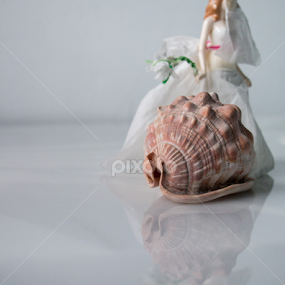 Bride and shell by Elsie Nisonen - Artistic Objects Still Life