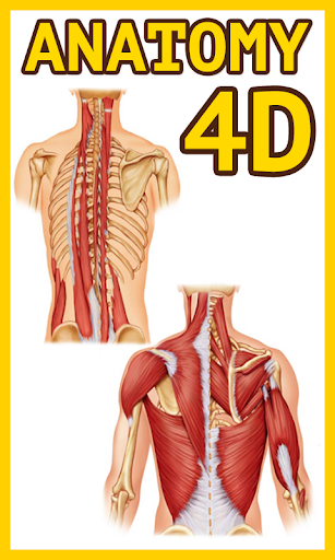 免費下載教育APP|Anatomy Physiology 4D‏ app開箱文|APP開箱王