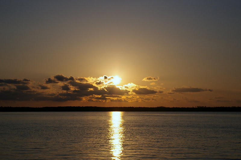 Comment Image