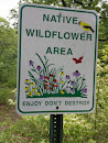 Native Wildflower Area