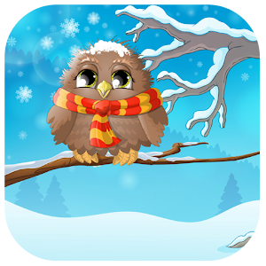 Little owl 1.1