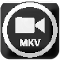 FLV/F4V(Flash Video) Player icon
