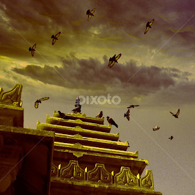 by Rahul Joshi - Instagram & Mobile Android