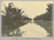 Plantagetrens Rust en Werk