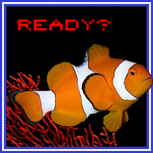 Coco the Clownfish 1.22
