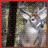 Deer Hunting Guide mobile app icon