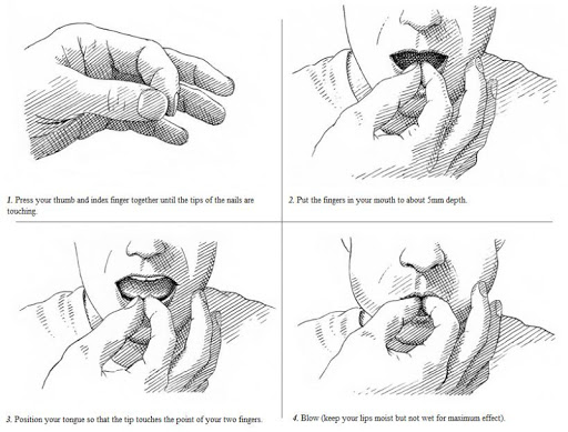 How to Whistle