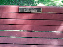 David S. Wager Memorial Bench