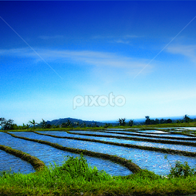 Field by Rendi Saputra - Landscapes Travel