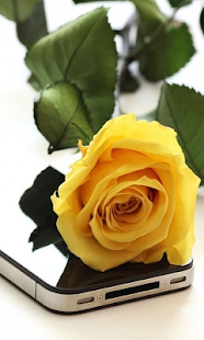 How to download Rose Live Wallpaper 1.0 apk for bluestacks