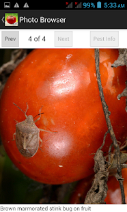 Lastest Purdue Tomato Doctor APK for Android