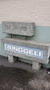 100 Jahre Binggeli