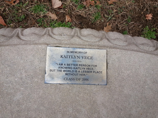 In Memory of Kaitlyn Vece