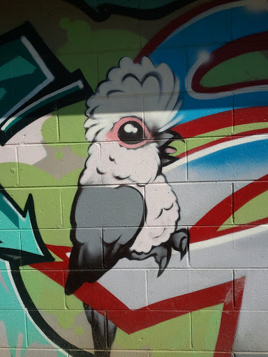 Graffiti Galah