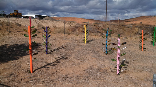 Bottle Trees at Rio Rancho Recycling