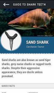 How to download Guide to Shark Teeth lastet apk for android
