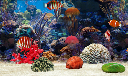 Fish Farm