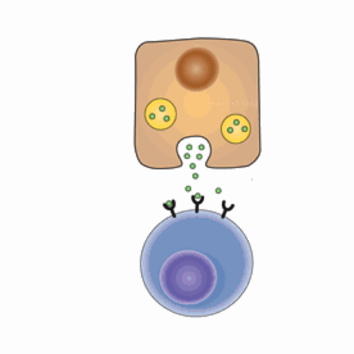 Biochemistry Lippincott's Q&A LOGO-APP點子