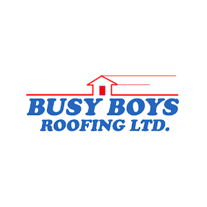 Busy Boys Roofing.apk 1