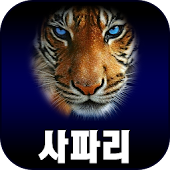 사파리(Safari) 포유류,동물,동영상,교육자료,학습