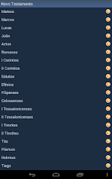 Portuguese Holy Bible poster 9