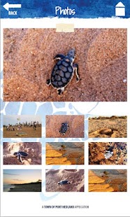 Port Hedland Turtle Loop Screenshots 1