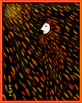 Season of Love