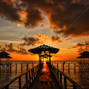 Morning Silhouet by Roy Ardy - Landscapes Sunsets & Sunrises