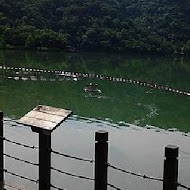小熊書房