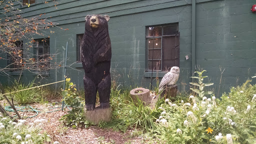 Bear and Owl Woodcarvings