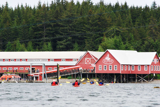 A kayak tour out of Icy Strait Point, Alaska.