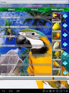 How to mod Bird Sounds patch 1.5 apk for android