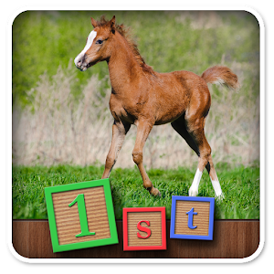 1st Games Kids Pony Puzzles logo