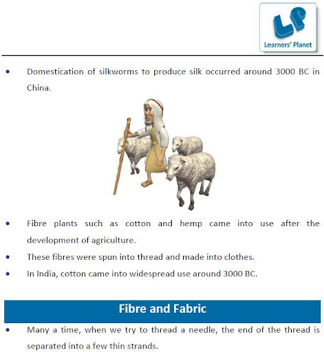 Grade-6-Science-Part-3