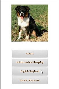 How to get Dogs! 1.3 mod apk for laptop