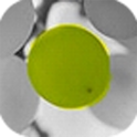 ColorUp Lite logo