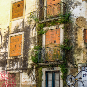 by Jesus Rivero - Uncategorized All Uncategorized