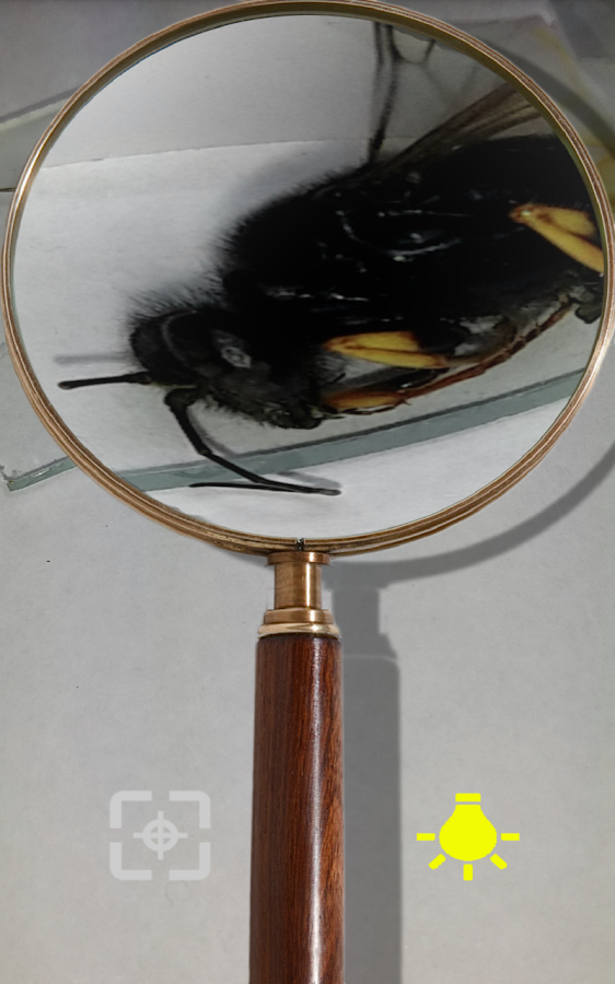 Magnifying Glass Android Apps on Google Play