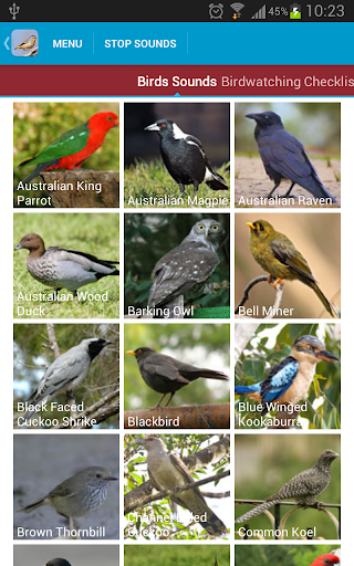 【免費教育App】Australian Birds Sounds Free-APP點子