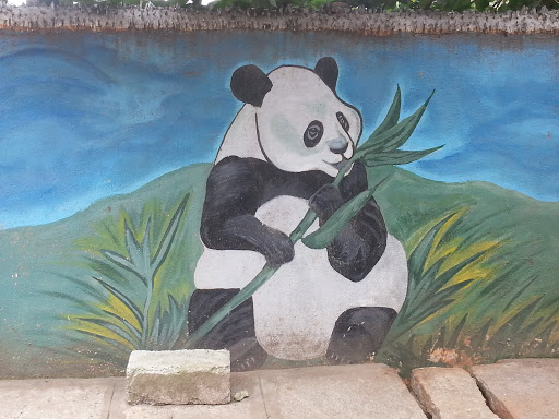 Hungry Panda Wall Art