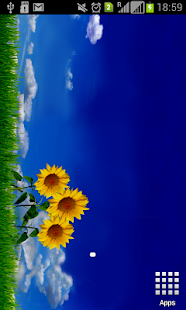 Lastest Amazing Sunflower LWP APK for Android