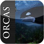 Cover Image of Descargar ORCAS FREE WALLPAPER 1.98 APK
