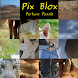 Pix Blox Picture Puzzle