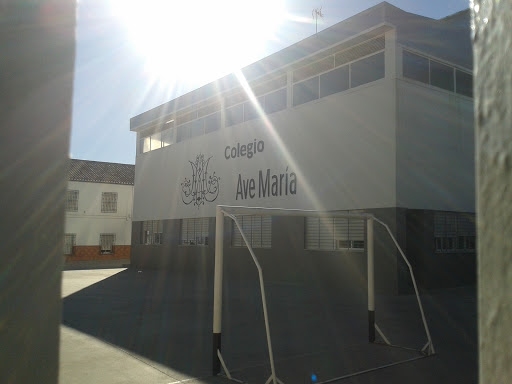Colegio Ave Maria