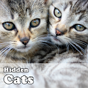 Hidden Object Games - Cats